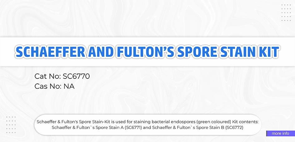Schaefffer & Fulton